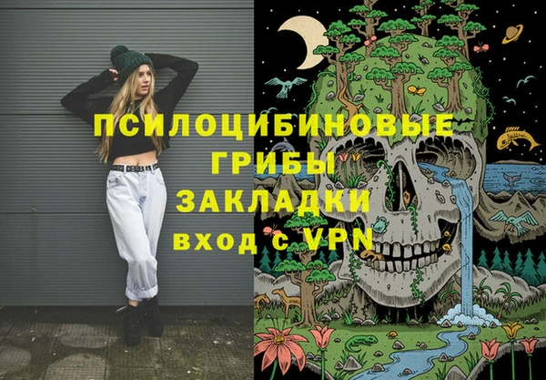 ешки Надым